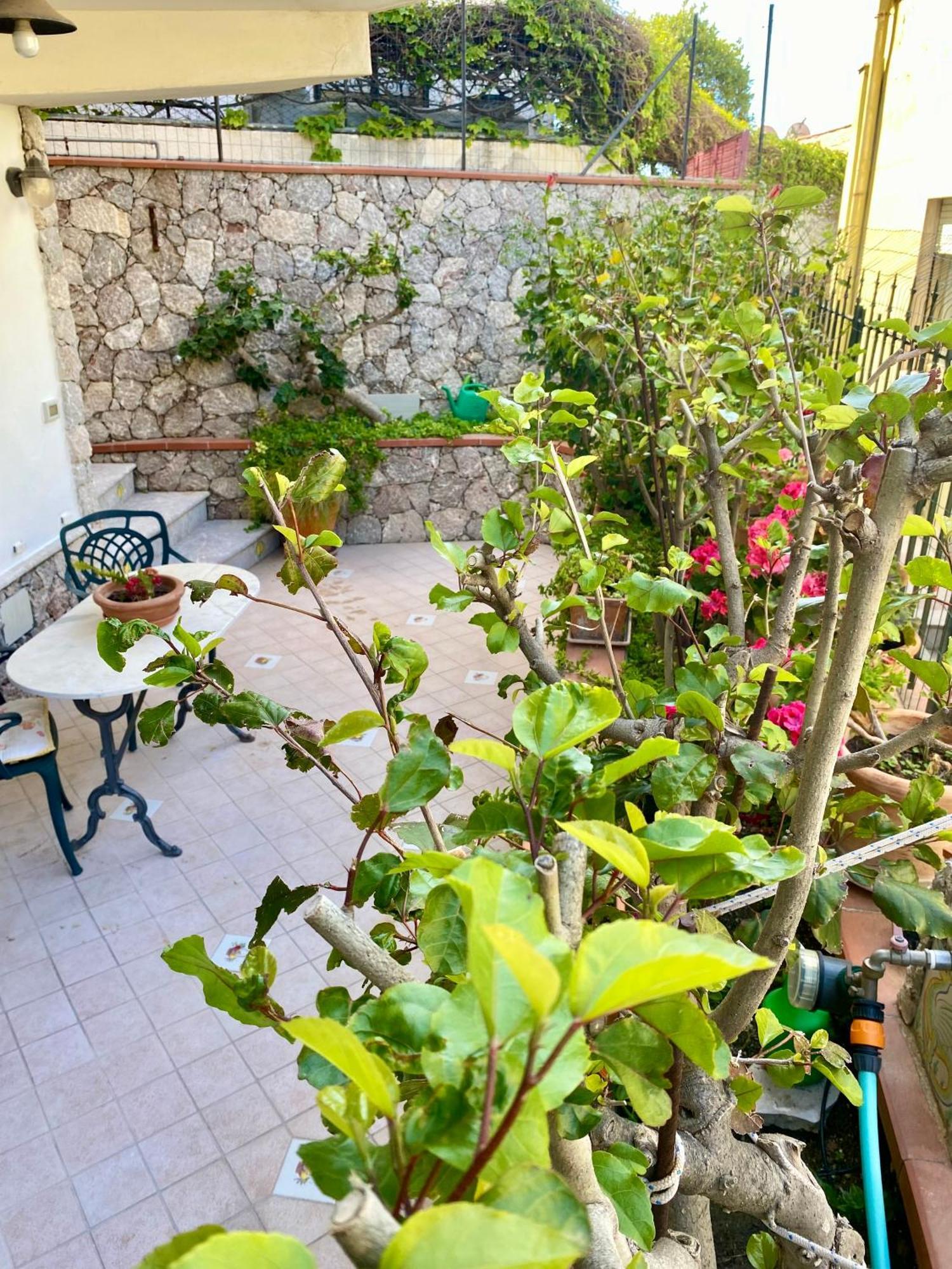 Villa Casa Limoncello Taormina Esterno foto